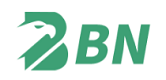 BN Global (bn93.com) Logo