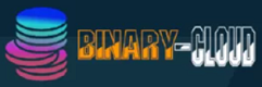 Binary-Cloud.ltd Logo