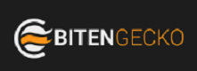 Bitengecko Logo