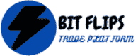 Bitflips.online Logo