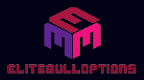 Elite Bull Options Logo