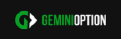 Gemini Option Logo