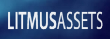 Litmus Asset Logo