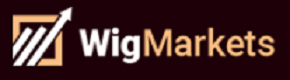 WigMarkets Logo
