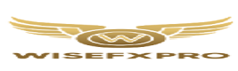 Wise FX Pro Logo