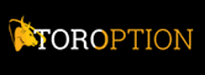 TorOption Logo