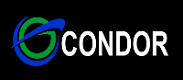 Condor Capital Markets Logo