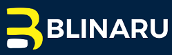 blinaru.com Logo