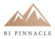 Bi Pinnacle Global Logo